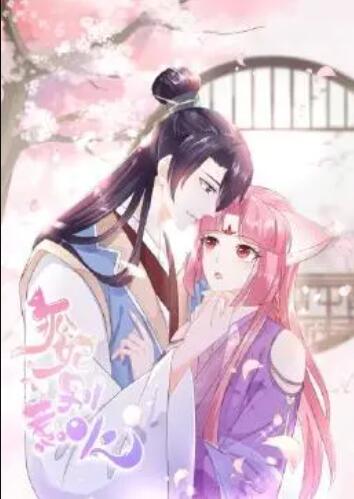 狐妃，別惹火