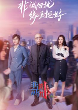 非誠勿擾 20241123期