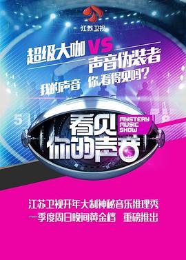 看見你的聲音(全集)