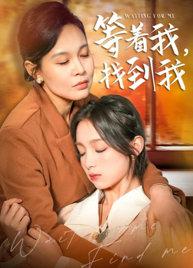 等著我，找到我(全集)