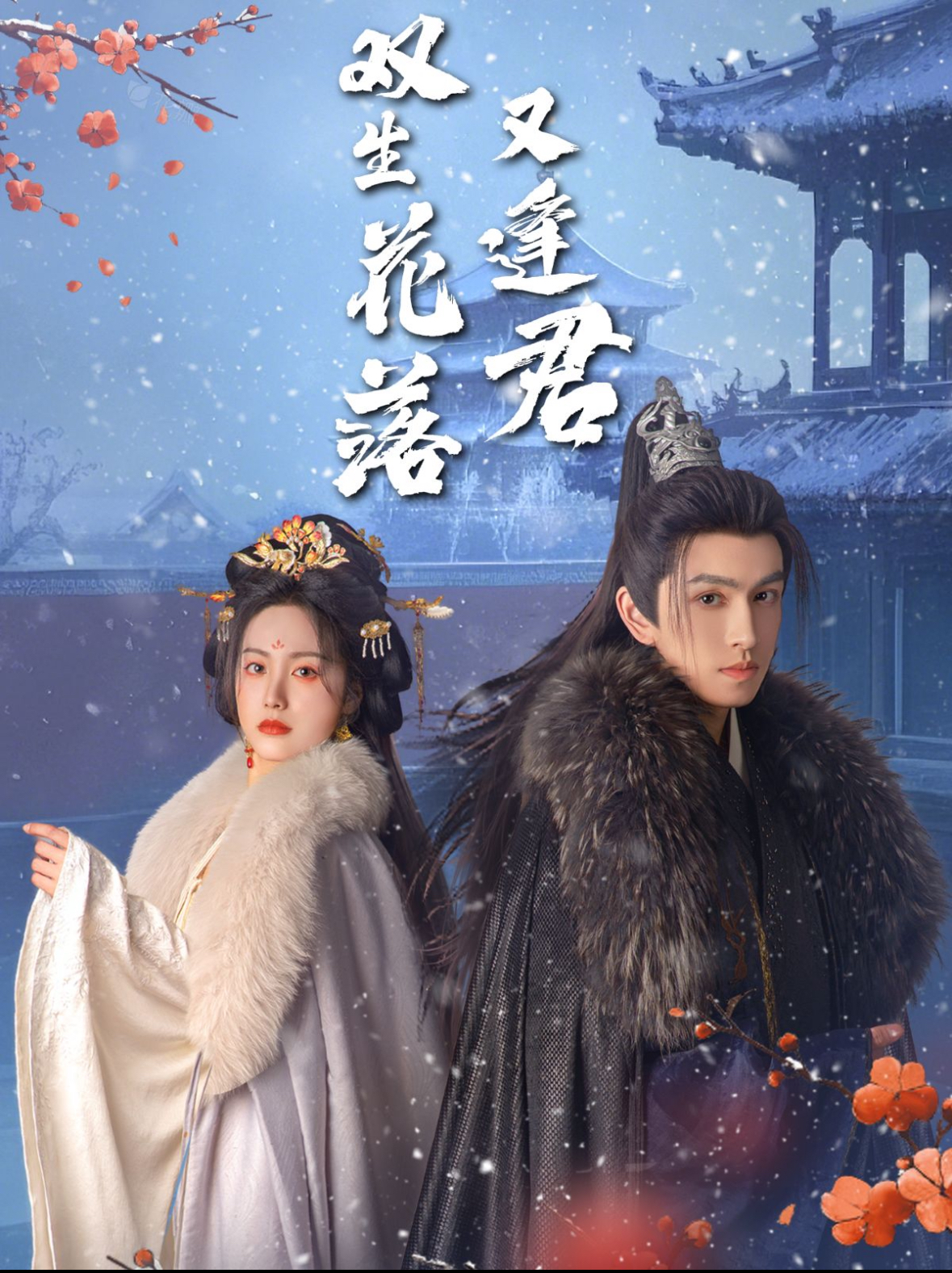 雙生花落又逢君(全集)