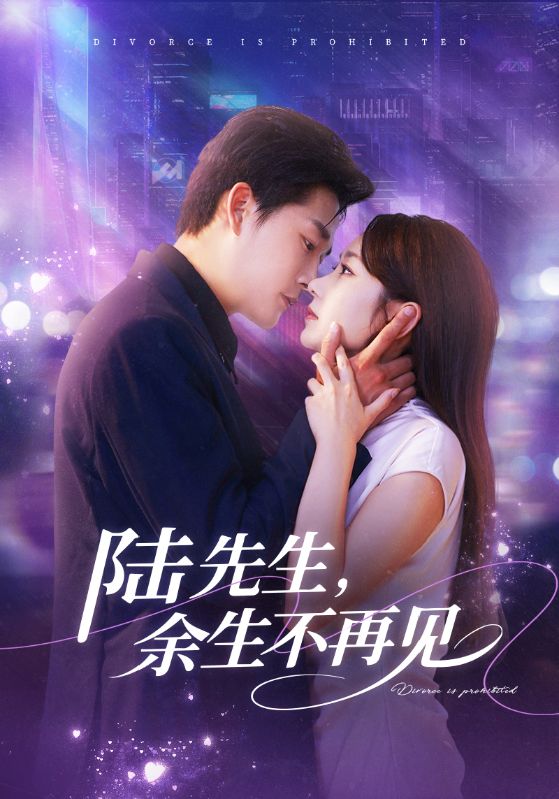 陸先生，余生不再見(全集)