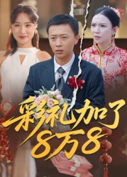 彩禮加了8萬8(全集)