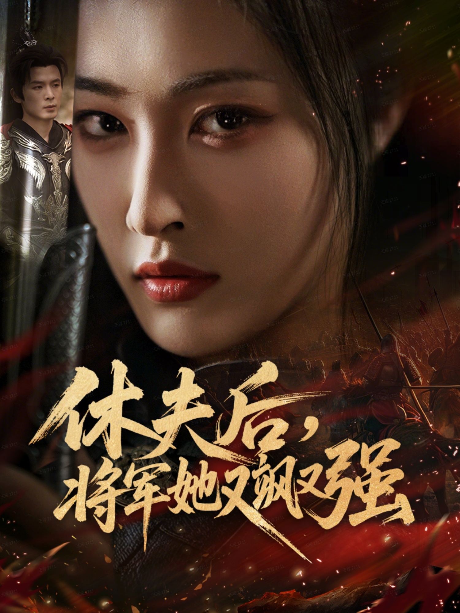 休夫后，將軍她又颯又強(全集)