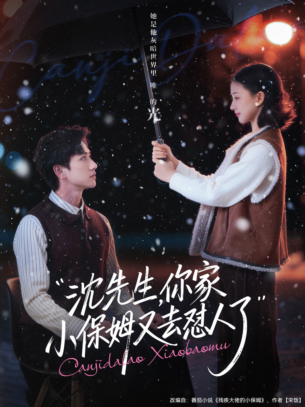 沈先生，你家小保姆又去懟人了(全集)