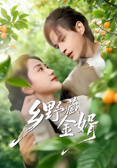 鄉(xiāng)野藏金婿(全集)