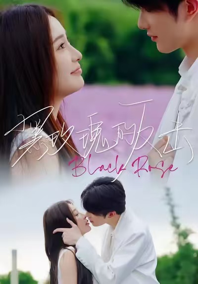 黑玫瑰的反擊(全集)
