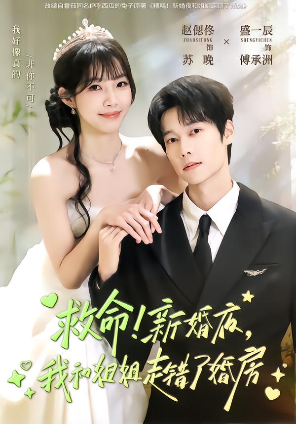 救命！新婚夜，我和姐姐走錯了婚房(全集)