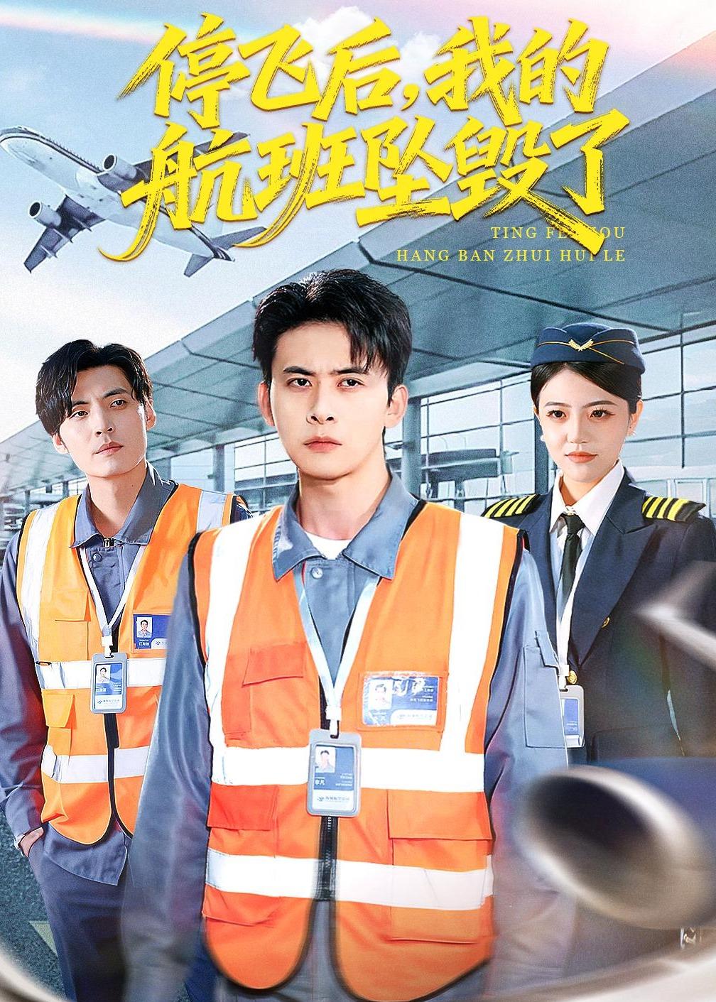 停飛后，我的航班墜毀了(全集)