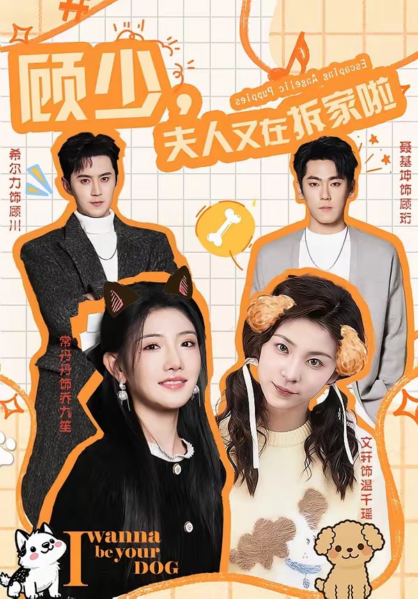 顧少，夫人又在拆家啦(全集)