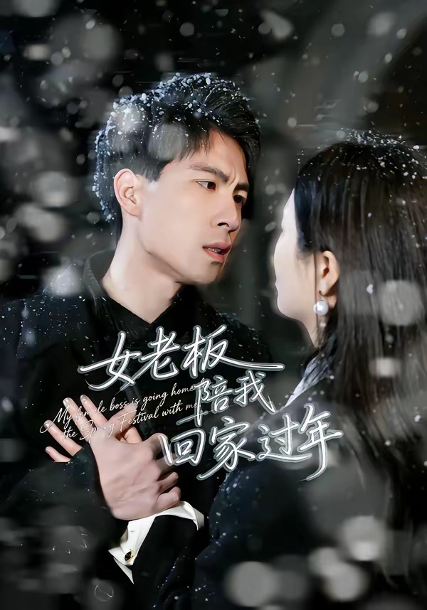 女老板陪我回家過(guò)年(全集)