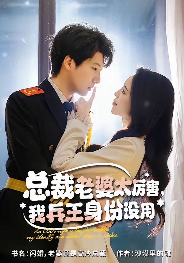 總裁老婆太厲害，我兵王身份沒用(全集)