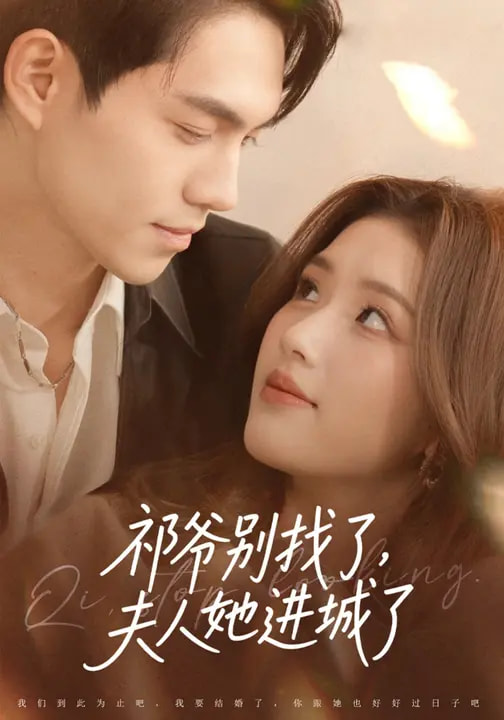 祁爺別找了，夫人她進(jìn)城了(全集)