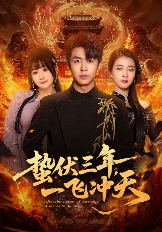 蟄伏三年，一飛沖天(全集)