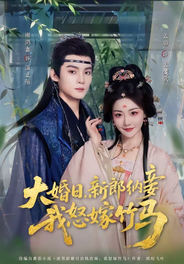 大婚日，新郎納妾我怒嫁竹馬(全集)