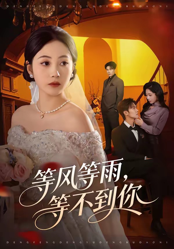 等風(fēng)等雨，等不到你(全集)