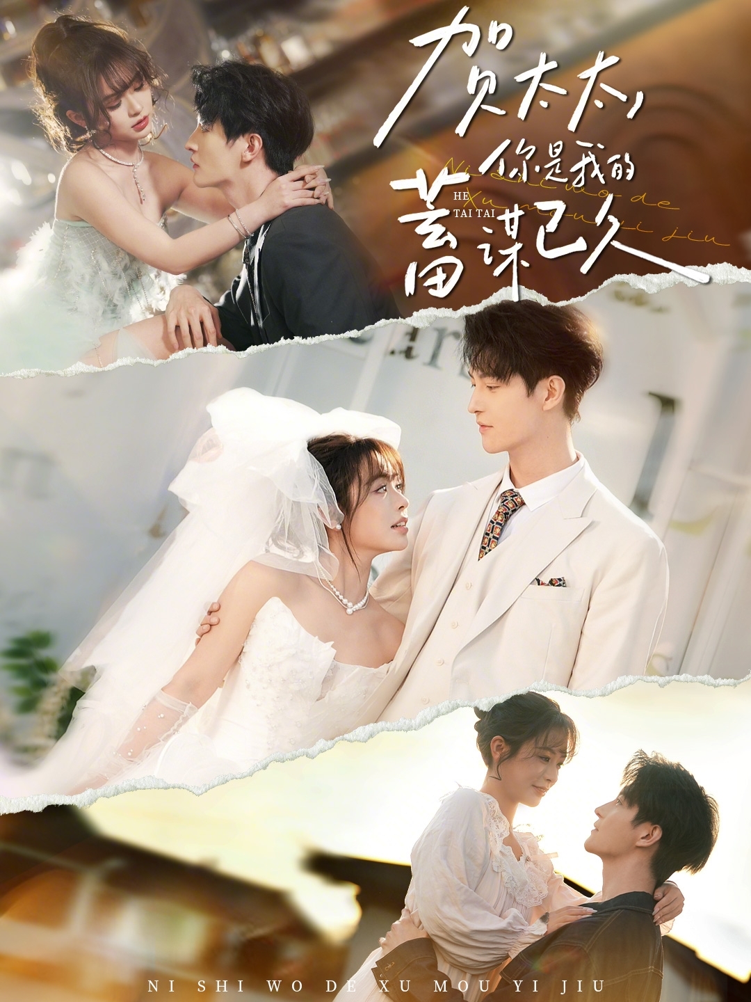 賀太太，你是我的蓄謀已久(全集)