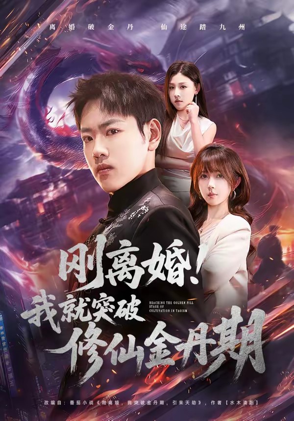剛離婚！我就突破修仙金丹期(全集)