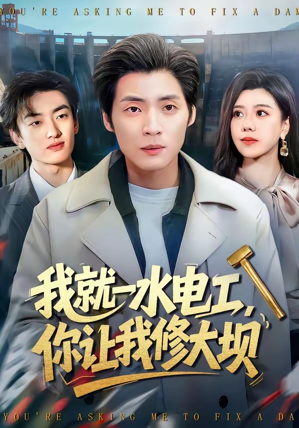我就一水電工，你讓我修大壩(全集)