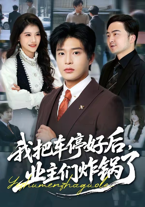 我把車停好后，業(yè)主們炸鍋了(全集)