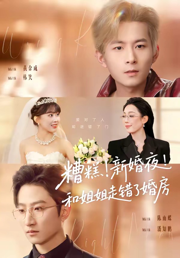 糟糕！新婚夜！和姐姐走錯(cuò)了婚房(全集)