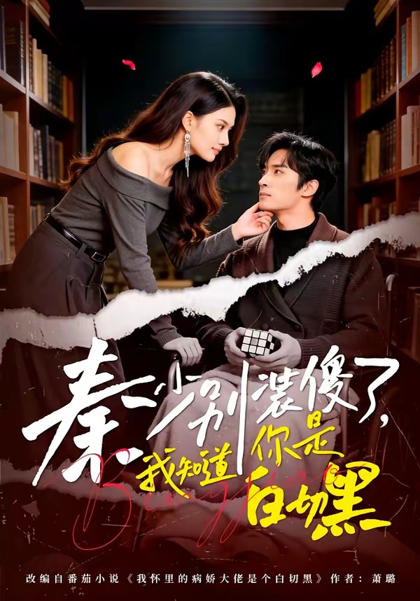 秦少別裝傻了，我知道你是白切黑(全集)