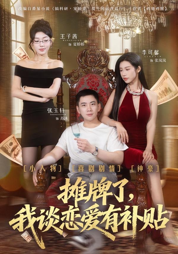 攤牌了，我談戀愛有補(bǔ)貼(全集)