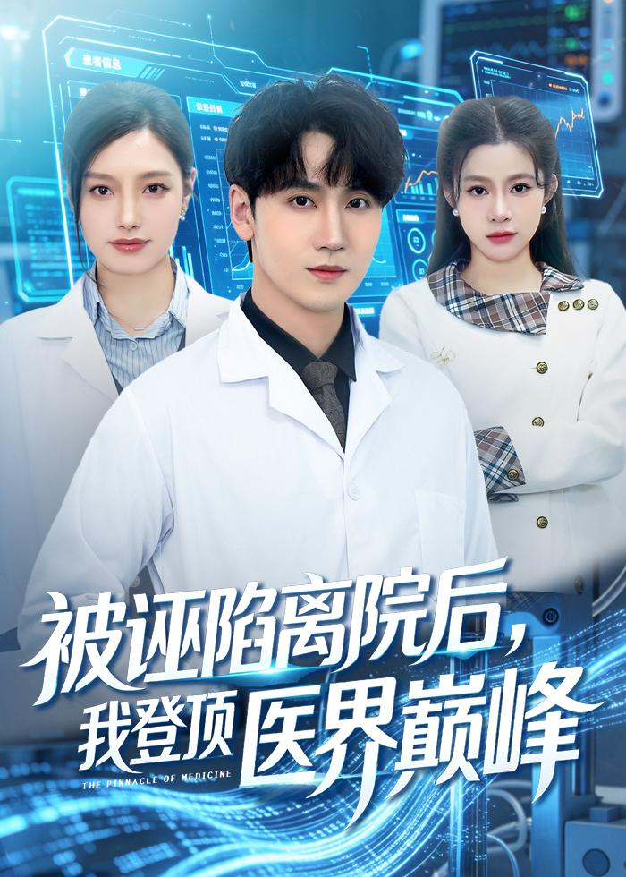 被誣陷離院后，我登頂醫(yī)界巔峰(全集)