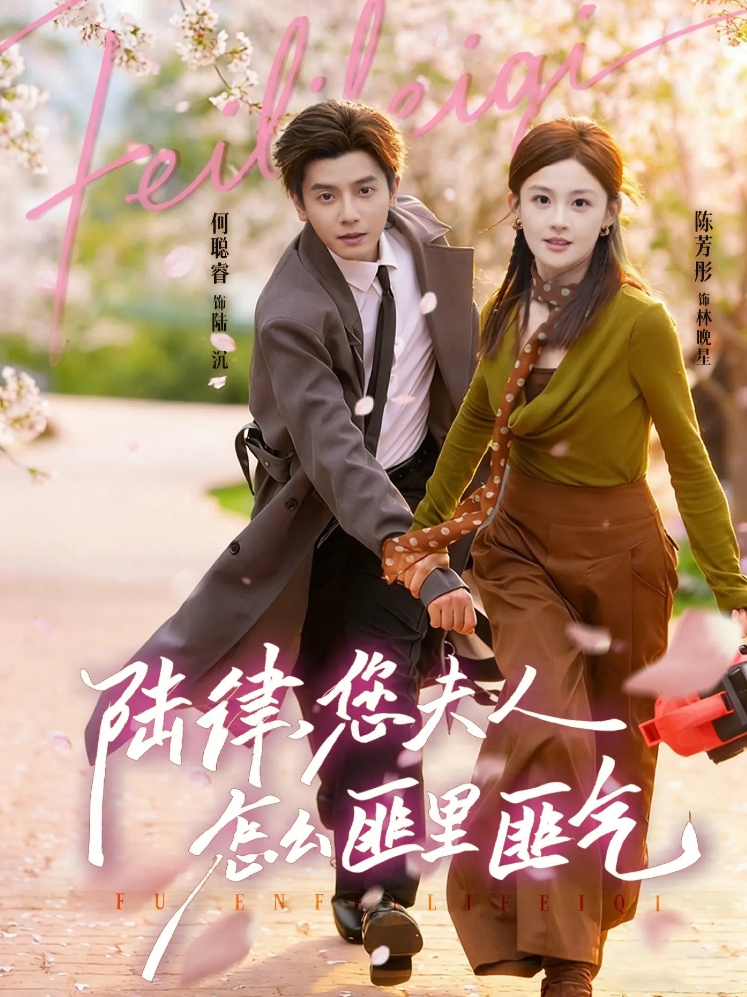 陸律，您夫人怎么匪里匪氣(全集)